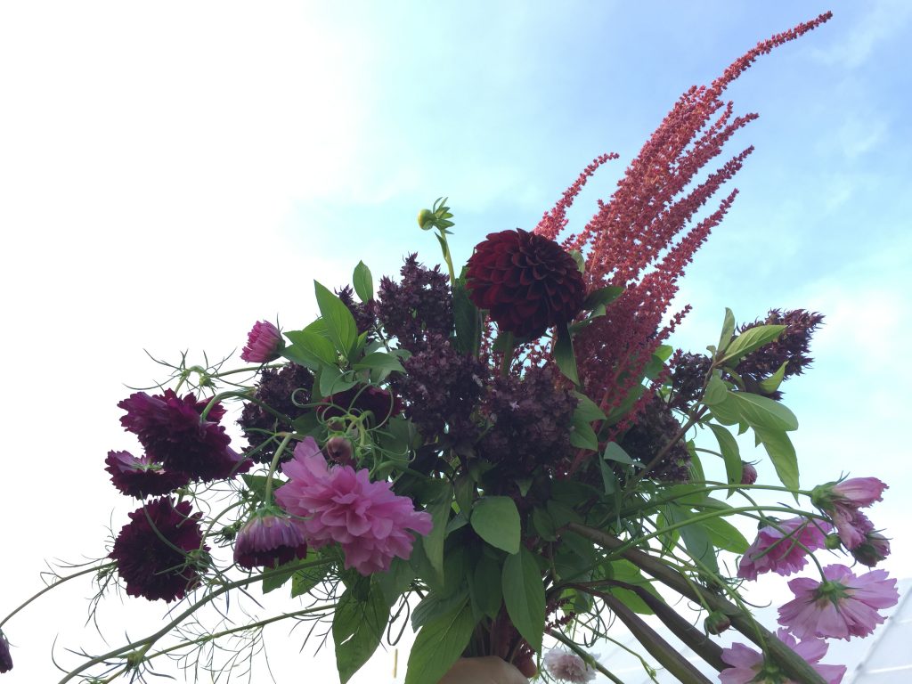 Fresh Cut Detroit Is Encouraging Detroit to Bloom Motivate Health